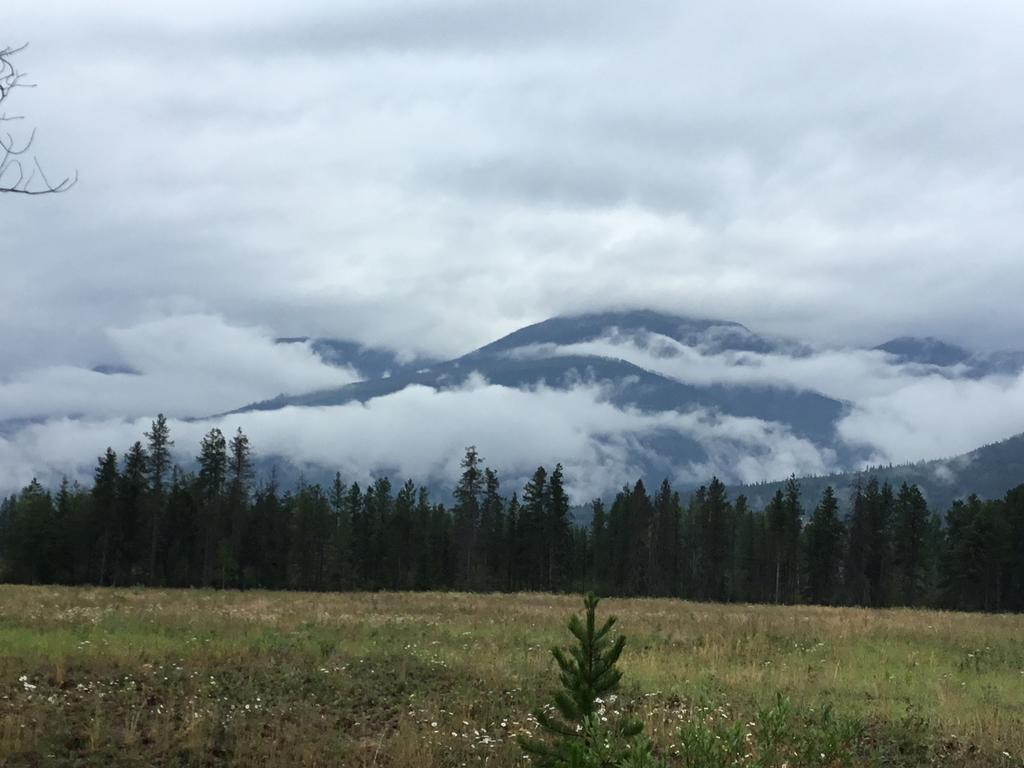 Rose Cottage Bed & Breakfast Valemount Exterior foto